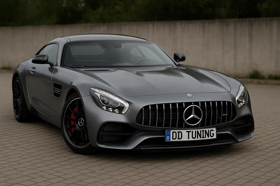 Mercedes AMG GT C190/R190 2014-2022 гг. Передняя решетка GT Panamericana (2014-2017) Image