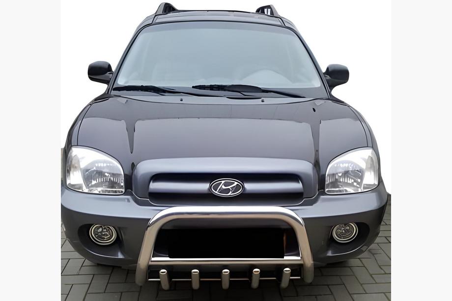 Hyundai Santa Fe 1 2000-2006 гг. Кенгурятник WT003 (нержавейка) Фото 2
