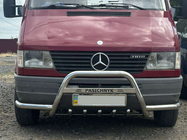 Mercedes Sprinter W901/902/903/904/905 1995-2006 гг. Кенгурятник Exclusive (нерж. сталь) фото 5