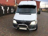 Mercedes Sprinter W901/902/903/904/905 1995-2006 гг. Кенгурятник Exclusive (нерж. сталь) фото 4
