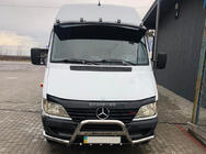Mercedes Sprinter W901/902/903/904/905 1995-2006 гг. Кенгурятник Exclusive (нерж. сталь) фото 2