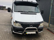 Mercedes Sprinter W901/902/903/904/905 1995-2006 гг. Кенгурятник Exclusive (нерж. сталь) фото 1