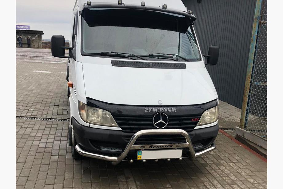 Mercedes Sprinter W901/902/903/904/905 1995-2006 гг. Кенгурятник Exclusive (нерж. сталь) Image