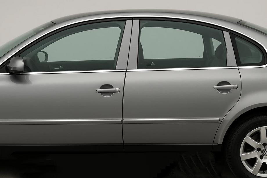 Накладки на дверные стойки из нержавеющей стали (6 шт) Image