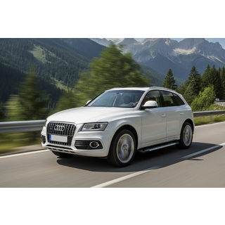 Боковые Подножки Line (2 шт., Алюминий) фото 1