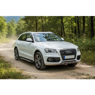 Боковые Подножки Duru (2 шт., Алюминий) Audi Q5 2008-2017 гг. фото 1