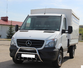 Mercedes Sprinter W906 2006-2018 гг. Кенгурятник WT003 (нержавейка) фото 6