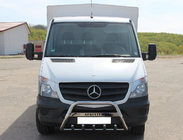 Mercedes Sprinter W906 2006-2018 гг. Кенгурятник WT003 (нержавейка) фото 2