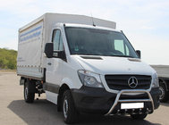 Mercedes Sprinter W906 2006-2018 гг. Кенгурятник WT003 (нержавейка) фото 8