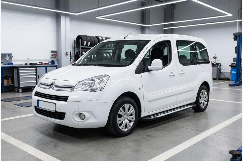 Citroen Berlingo 2008-2018 гг. Боковые Подножки Sunrise (2 шт., Алюминий) Image