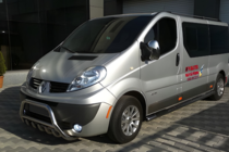 Renault Trafic 2001–2015 гг. Кенгурятник WT003-4 (нержавейка) фото 3