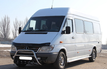 Mercedes Sprinter W901/902/903/904/905 1995–2006 гг. Кенгурятник WT003 (нержавейка) фото 4