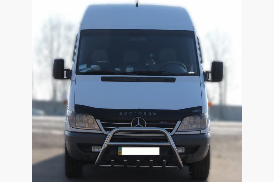 Mercedes Sprinter W901/902/903/904/905 1995–2006 гг. Кенгурятник WT003 (нержавейка) Image