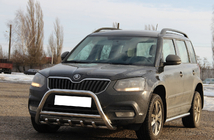 Skoda Yeti 2009-2017 гг. Кенгурятник WT003 (нержавейка) фото 3