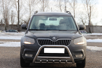 Skoda Yeti 2009-2017 гг. Кенгурятник WT003 (нержавейка) фото 1