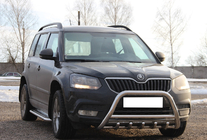 Skoda Yeti 2009-2017 гг. Кенгурятник WT003 (нержавейка) фото 4