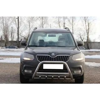Кенгурятник WT003 (нержавейка) Skoda Yeti 2009-2017 гг. фото 1