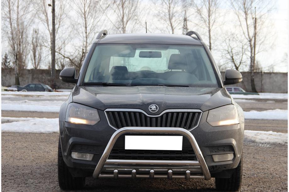 Skoda Yeti 2009-2017 гг. Кенгурятник WT003 (нержавейка) Image