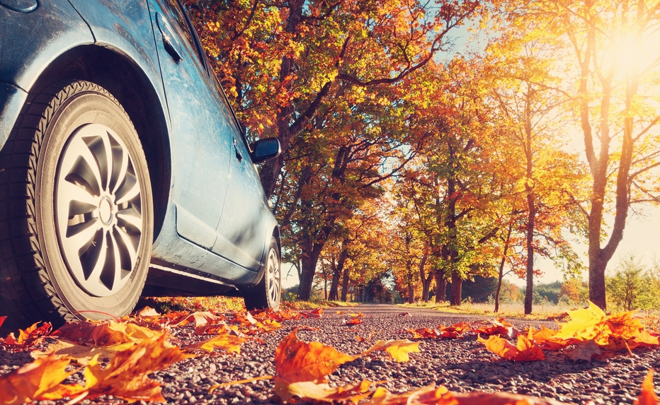Готовим автомобиль к осени: необходимость или пустая трата времени?