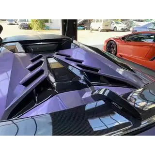 Комплект обвеса SVJ Carbon фото 4