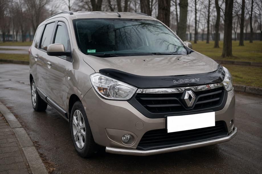 Renault Lodgy 2013-2022 гг. Передняя защита ST008 (нержавейка) Фото 2