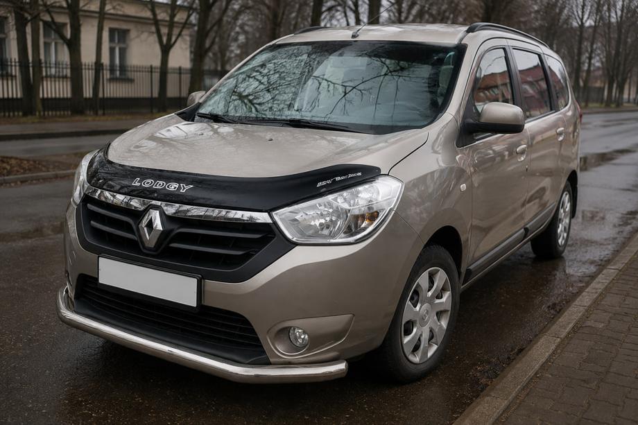Renault Lodgy 2013-2022 гг. Передняя защита ST008 (нержавейка) Фото 3