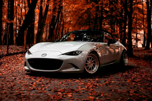 Осенний уход за автомобилем: 5 важных правил