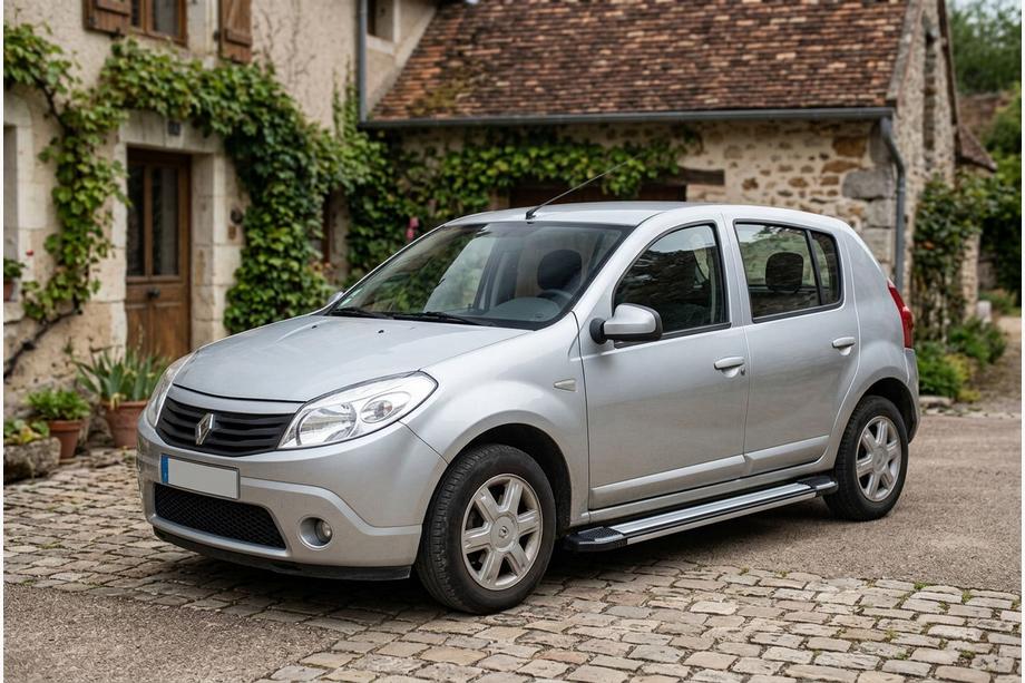 Dacia Sandero 2007-2013 гг. Боковые Подножки Rainbow (2 шт., Алюминий) Image