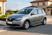 Renault Sandero 2013-2022 гг. Боковые пороги RedLine V1 (2 шт., алюминий) фото 1