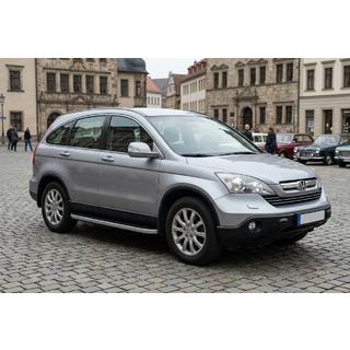 Боковые Подножки Tayga Grey (2 шт., Алюминий) фото 1