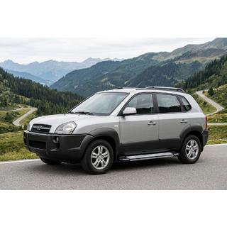 Боковые Подножки Rainbow (2 шт., Алюминий) Hyundai Tucson JM 2004- гг. фото 1
