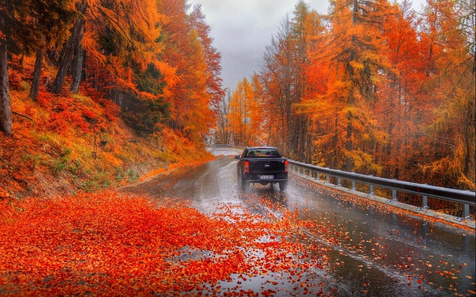 Какие опасности таит осень для автомобилистов?