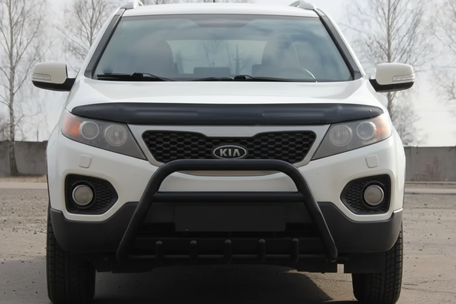 Кенгурятник WT003 Черный (Нержавеющая сталь) Image