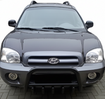 Кенгурятник WT003 Черный (Нержавеющая сталь) фото 3