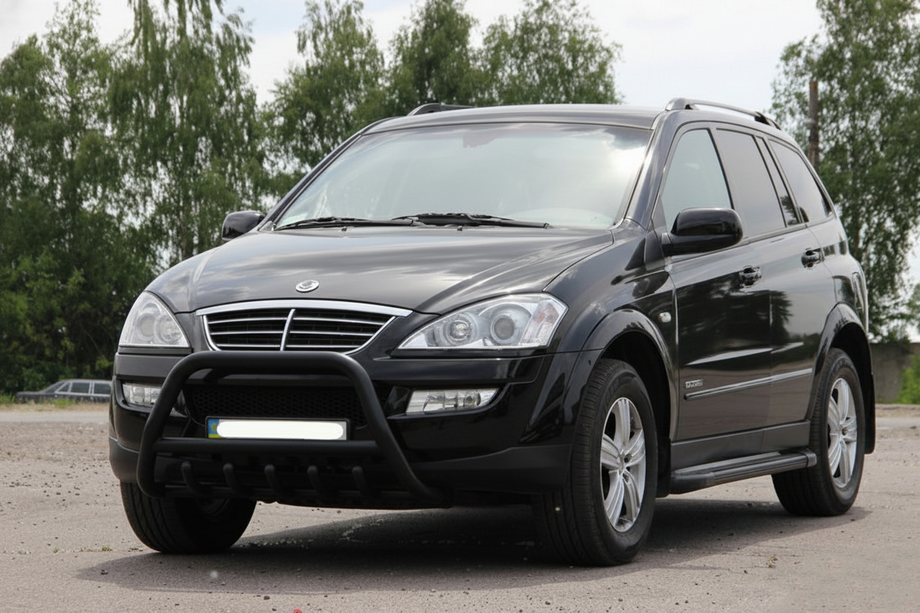 SsangYong Kyron 2005-2014 гг. Кенгурятник WT003 Черный Нержавейка Image