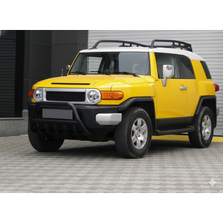 Кенгурятник WT003 Черный Нержавейка фото 3