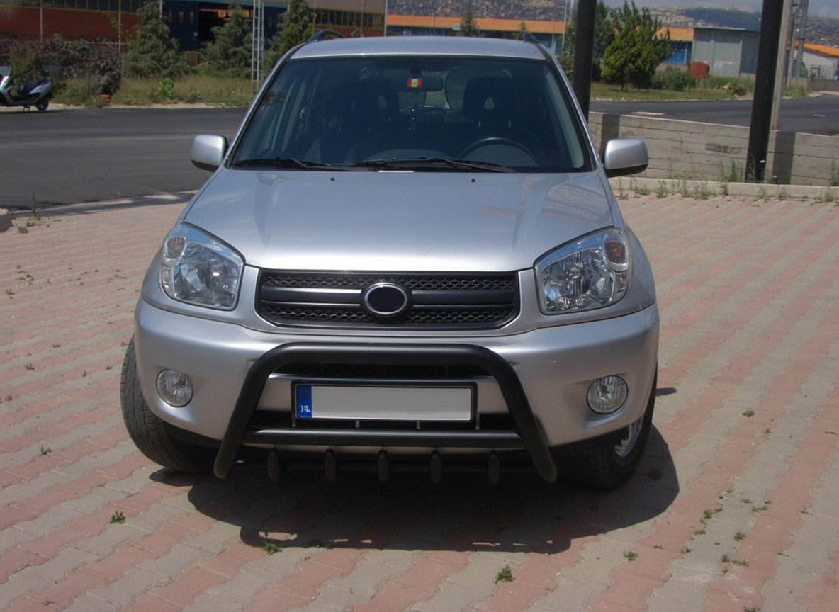 Кенгурятник WT003 Black (нерж) для Toyota Rav 4 2001-2005 рр