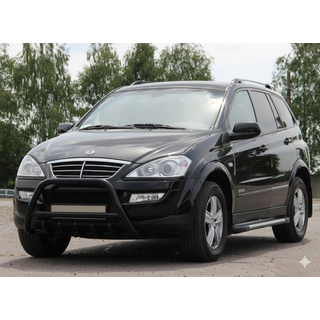 Кенгурятник WT003 Черный Нержавейка фото 3