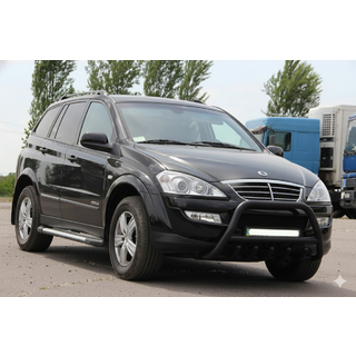 Кенгурятник WT003 Черный Нержавейка фото 1