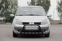 Renault Scenic/Grand 2003-2009 гг. Кенгурятник WT004 Черный (Нержавейка) фото 1