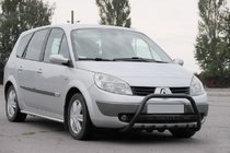 Renault Scenic/Grand 2003-2009 гг. Кенгурятник WT004 Черный (Нержавейка) фото 2