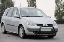 Renault Scenic/Grand 2003-2009 гг. Кенгурятник WT004 Черный (Нержавейка) фото 3