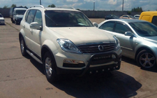 SsangYong Rexton I 2001-2017 гг. Кенгурятник WT004 Черный (Нержавейка) фото 3