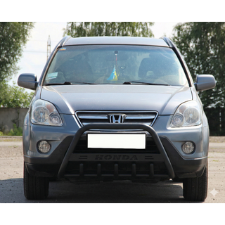 Кенгурятник WT004 Черный (Нержавейка) фото 1