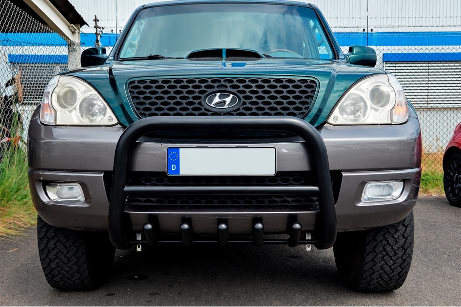 Hyundai Terracan 2001-2007 гг. Кенгурятник WT003 Черный Нержавейка Image