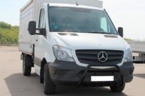 Mercedes Sprinter W906 2006–2018 гг. Кенгурятник WT004 (черный) фото 1