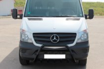 Mercedes Sprinter W906 2006–2018 гг. Кенгурятник WT004 (черный) фото 3