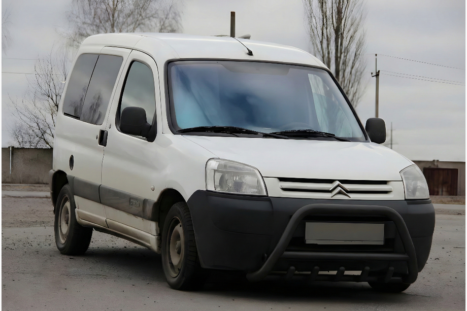 Citroen Berlingo 1996-2008 гг. Кенгурятник WT003 Black (нерж) Image