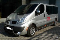 Opel Vivaro 2001–2015 гг. Кенгурятник WT003 Черный (Нержавеющая сталь) фото 2