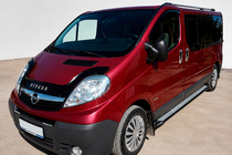 Nissan Primastar 2002-2014 гг. Боковые Подножки Rainbow (2 шт., Алюминий) фото 1